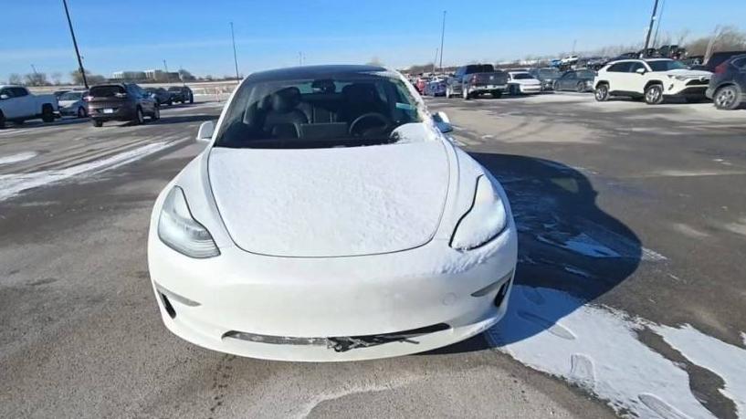 TESLA MODEL 3 2020 5YJ3E1EA8LF504162 image